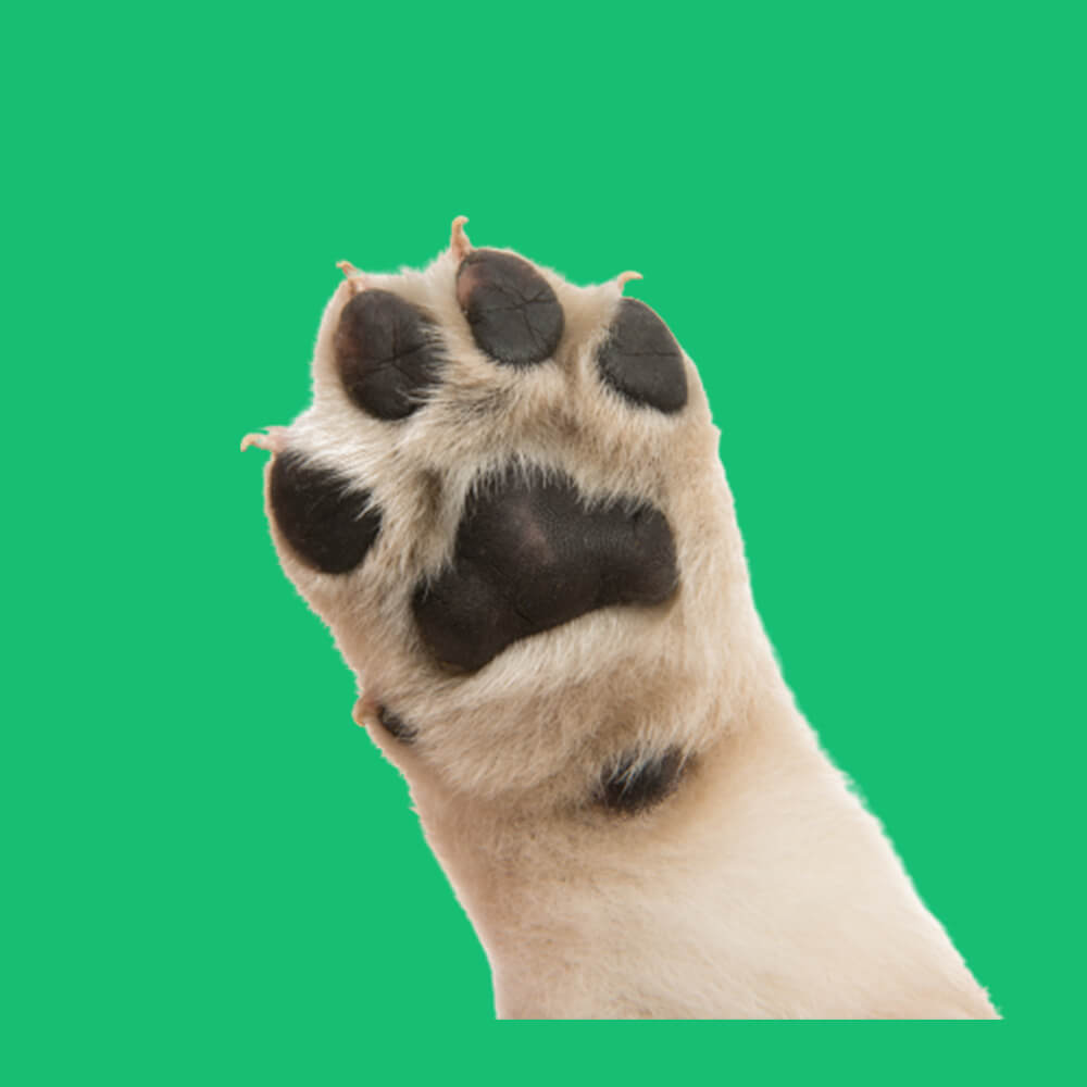 cdn_helper
